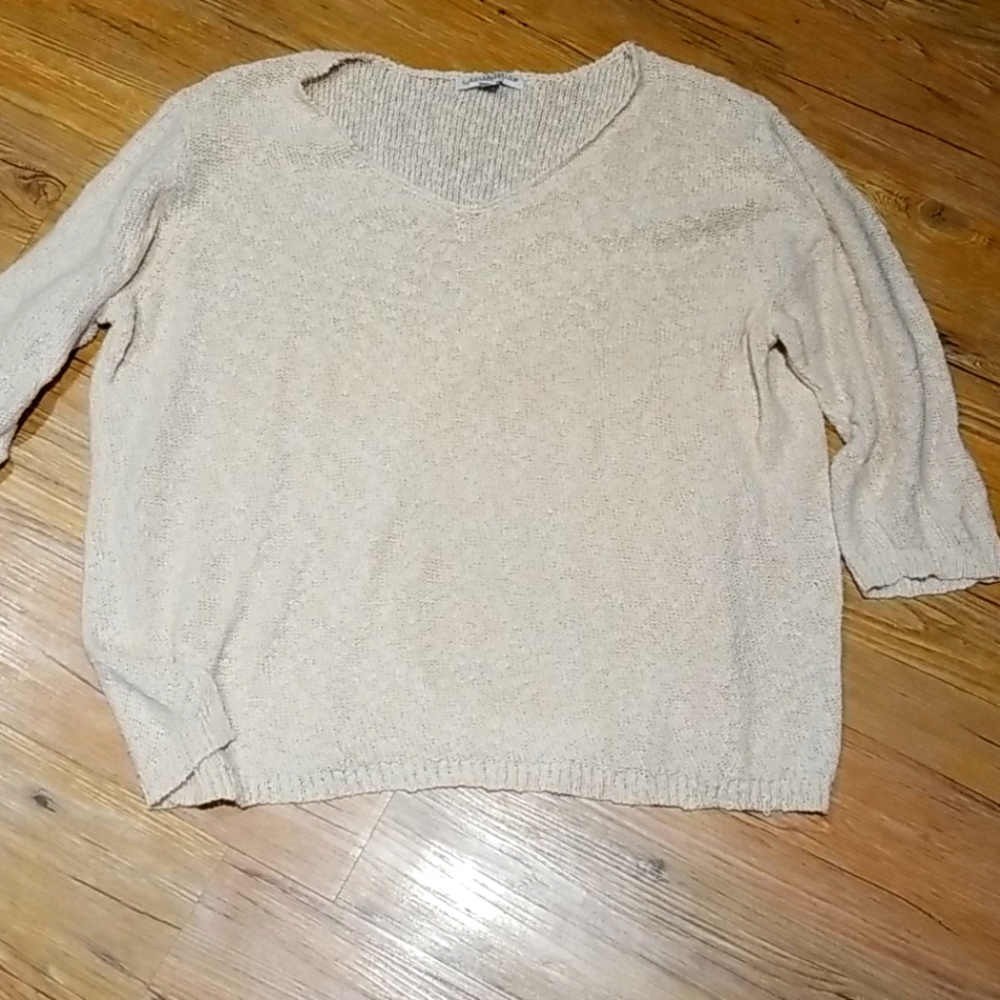 NWOTs Caroline Taylor V neck Sweater